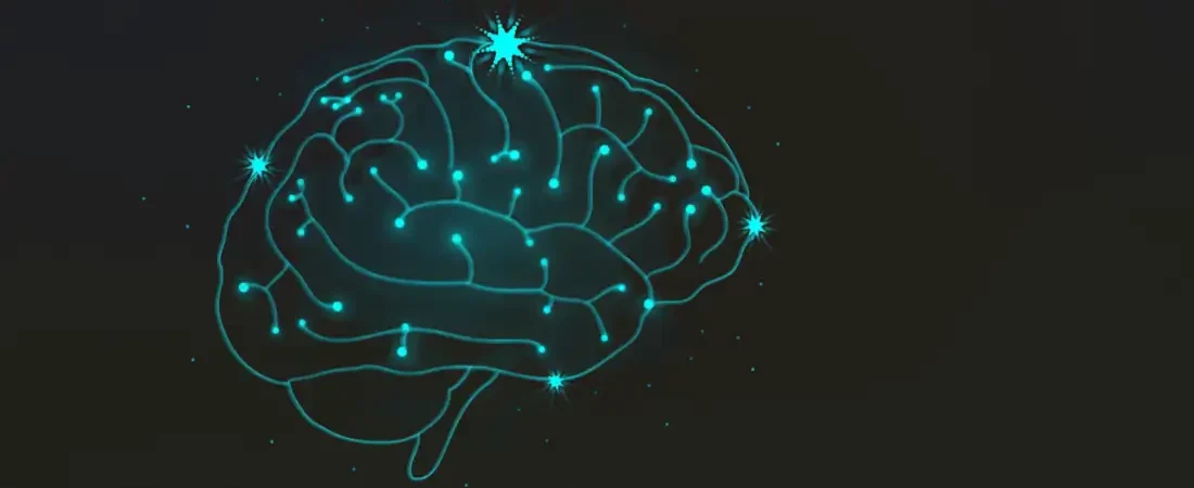 Comprendre le Vieillissement Naturel du Cerveau