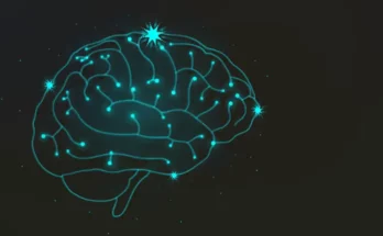 Comprendre le Vieillissement Naturel du Cerveau