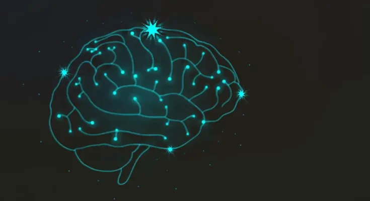 Comprendre le Vieillissement Naturel du Cerveau