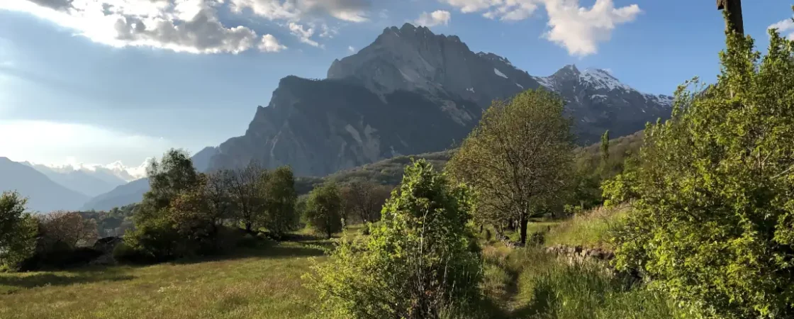 120 minutes par semaine en nature pour la sante