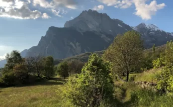 120 minutes par semaine en nature pour la sante