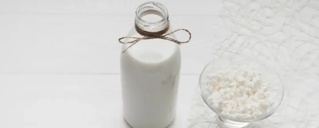 Kéfir Une Boisson Fermentée aux Multiples Bienfaits