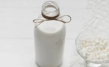 Kéfir Une Boisson Fermentée aux Multiples Bienfaits