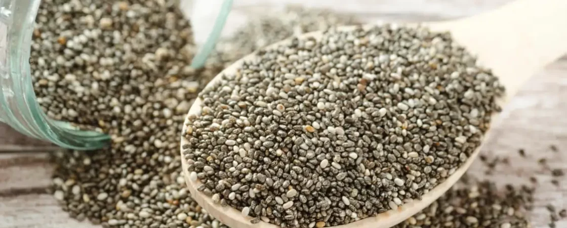 Les Bénéfices des Graines de Chia pour la Santé