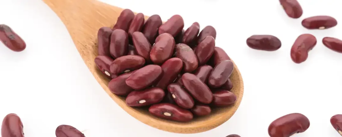 L'importance des haricots dans notre alimentation