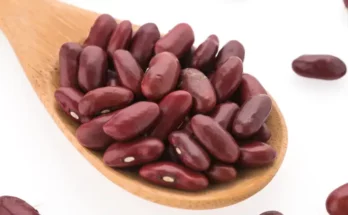 L'importance des haricots dans notre alimentation
