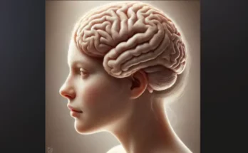 optimiser la reserve cognitive pour proteger le cerveau
