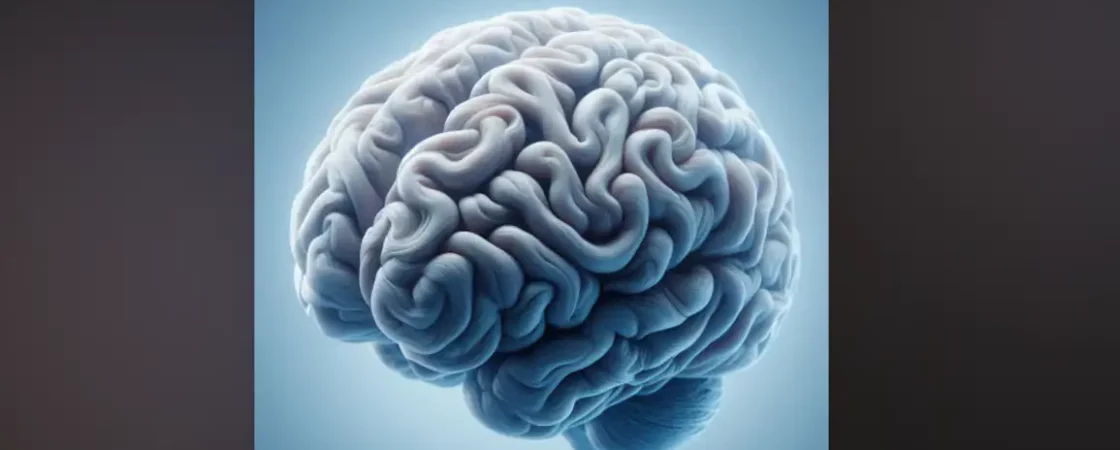 proteger le cerveau