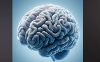 proteger le cerveau