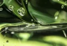 3HB une molécule naturelle contre le vieillissement