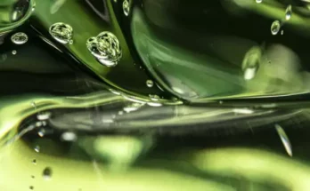 3HB une molécule naturelle contre le vieillissement