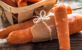 Carottes et longévité un lien validé par la science