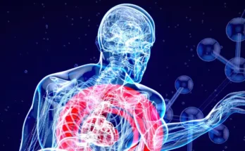 Inflammaging 4 clés pour vieillir sans inflammation