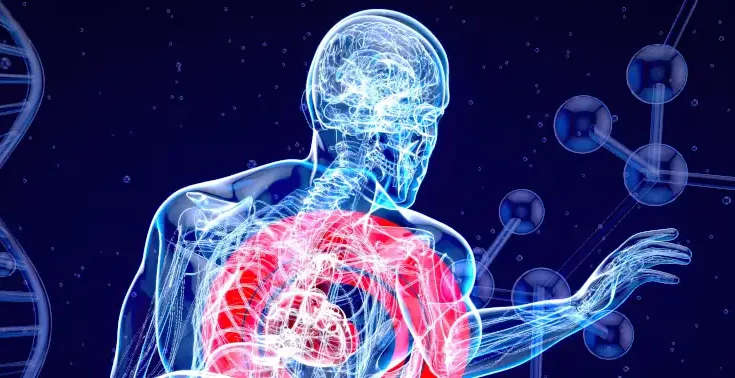 Inflammaging 4 clés pour vieillir sans inflammation