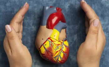 Les 7 clés simples pour un cœur en bonne santé