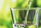 Manque d’eau : un stress hormonal amplifié