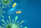 Protéger sa longévité face aux infections persistantes