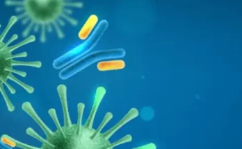 Protéger sa longévité face aux infections persistantes