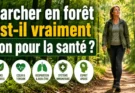 Marcher en forêt est-il vraiment bon pour la santé ?